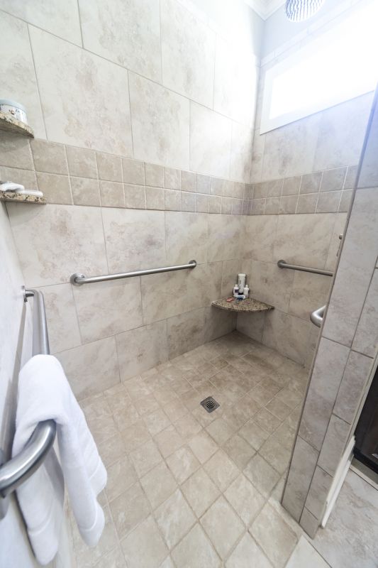 Accessible Shower Entrance